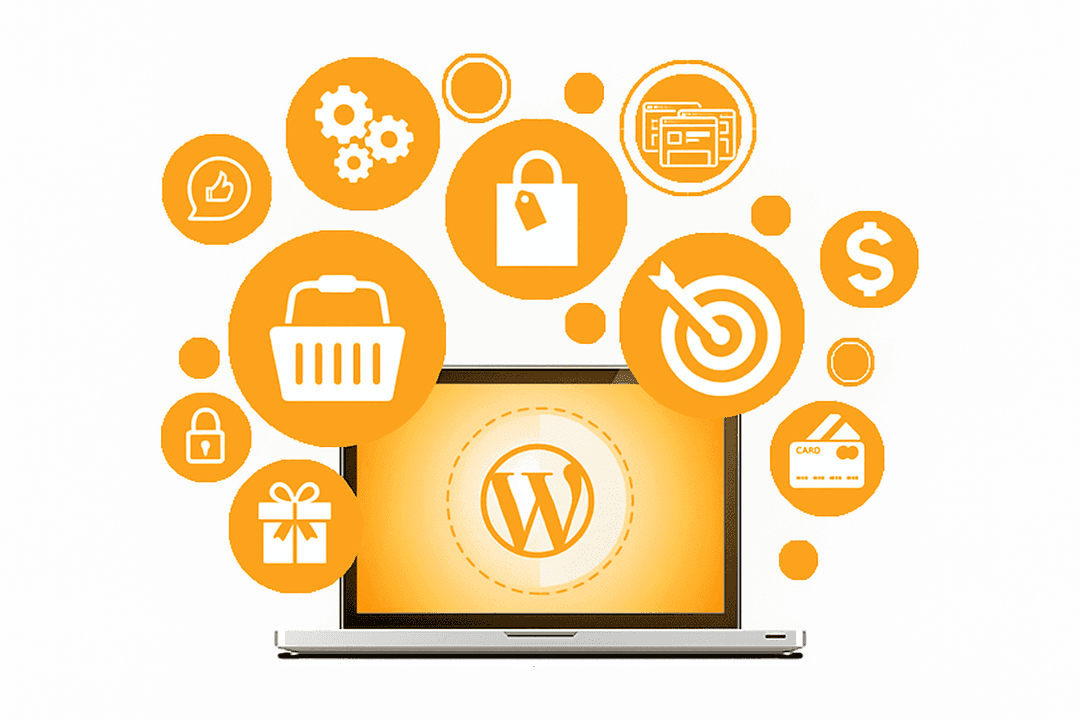 WordPress Developer at Work